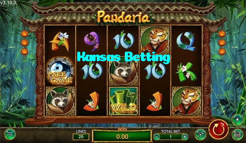 making first deposit on Kansas Betting website using local payment methods in Pakistan